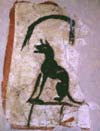 jackal painted on plaster