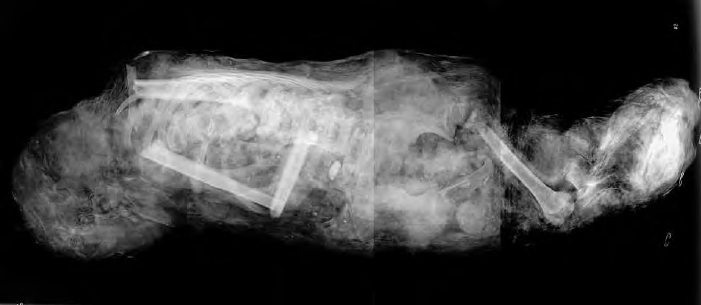 X-ray of the dog-shaped mummy
