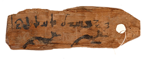 Demotic mummy label with two jackal figures