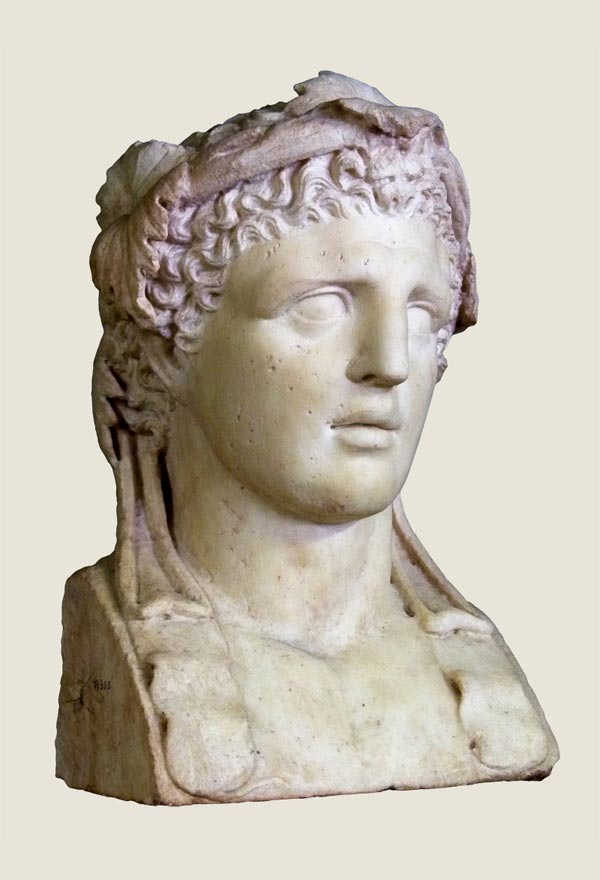 Bust of Hercules