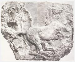 The Parthenon Frieze: Apobates with Shield