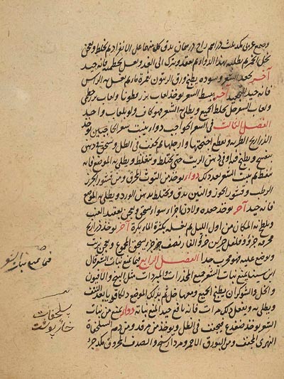 Manuscript codex