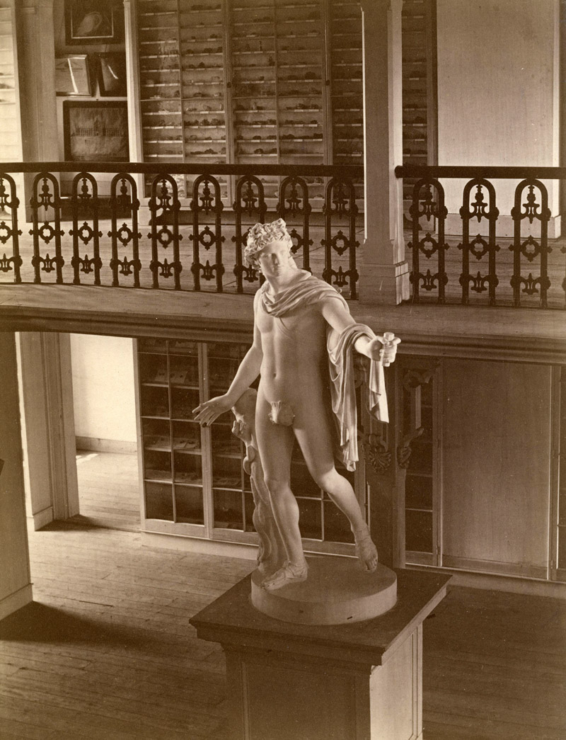 Plaster cast of Apollo Belvedere displayed in Mason Hall