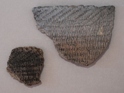 Corded ware sherds