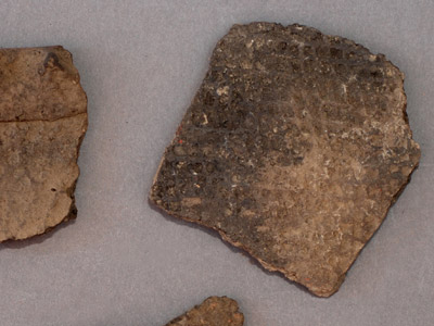 Stamped ware sherds