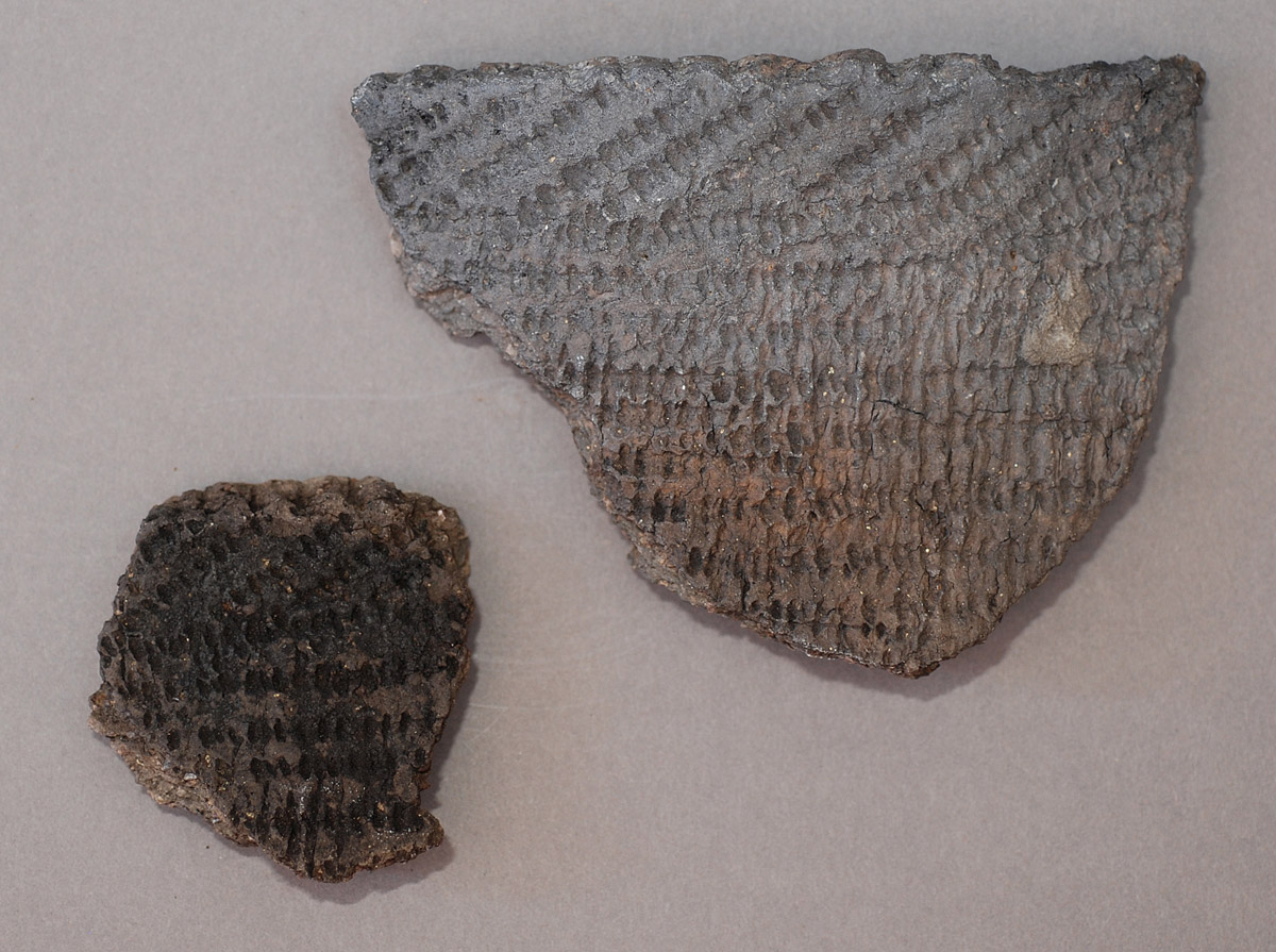 Corded ware sherds