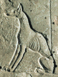 detail of jackal on Sarapous stele