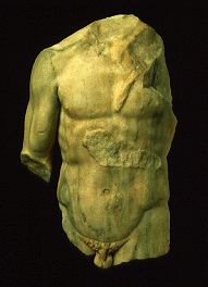 Male torso (MNR 310256)