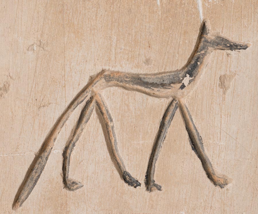 Jackal from the Old Kingdom inscription of Qar