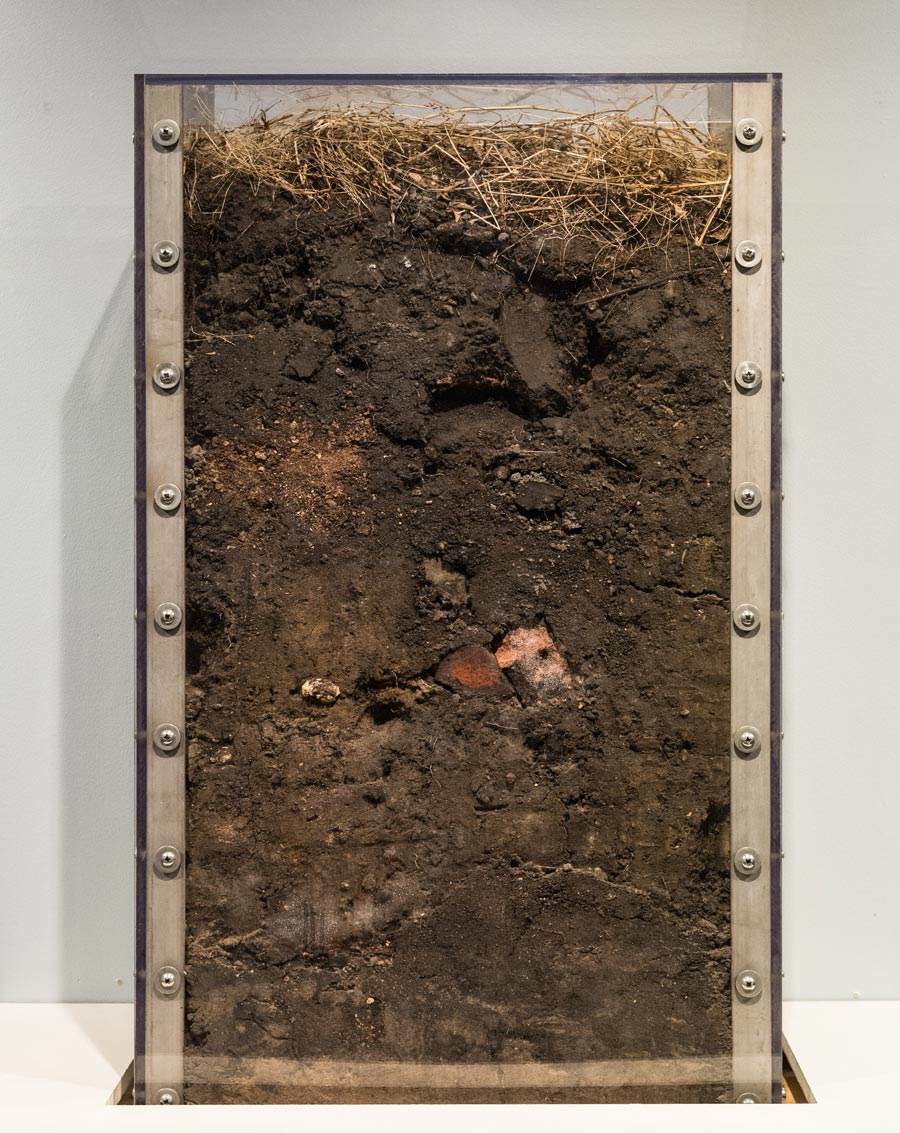 Detroit soil sample