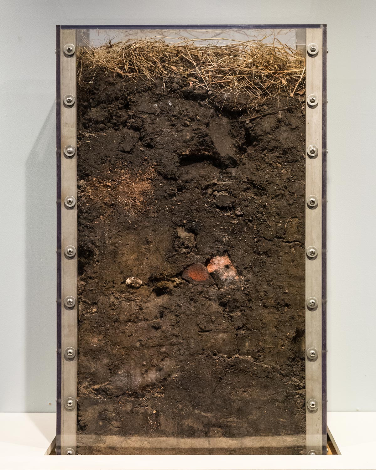 Detroit soil sample
